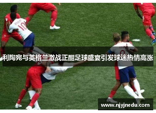 利陶宛与英格兰激战正酣足球盛宴引发球迷热情高涨