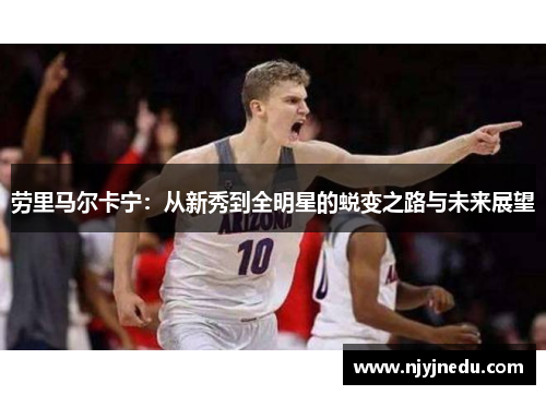 劳里马尔卡宁：从新秀到全明星的蜕变之路与未来展望
