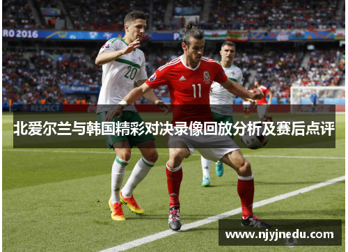 北爱尔兰与韩国精彩对决录像回放分析及赛后点评
