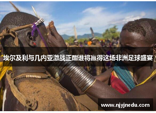 埃尔及利与几内亚激战正酣谁将赢得这场非洲足球盛宴